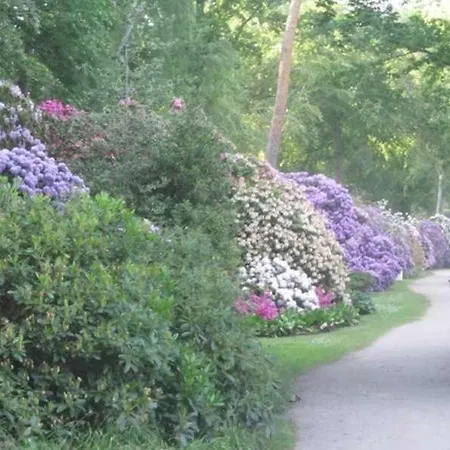 Meerestraum Gm 69406 *